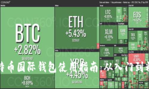 比特币国际钱包使用指南：从入门到精通