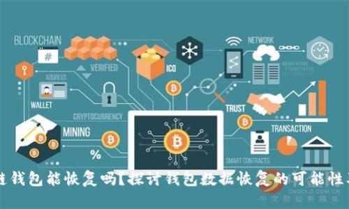 区块链钱包能恢复吗？探讨钱包数据恢复的可能性及方法