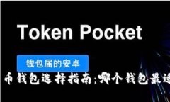 数字货币钱包选择指南：