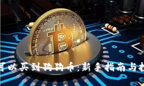 在哪里可以买到狗狗币：新手指南与投资建议