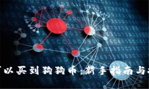 在哪里可以买到狗狗币：新手指南与投资建议
