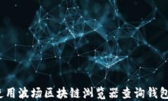 如何使用波场区块链浏览
