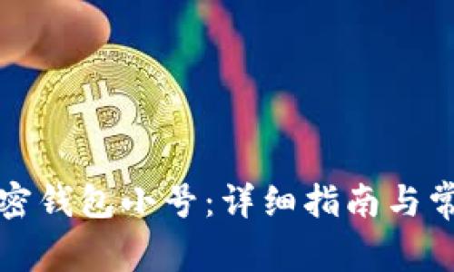 如何创建加密钱包小号：详细指南与常见问题解答