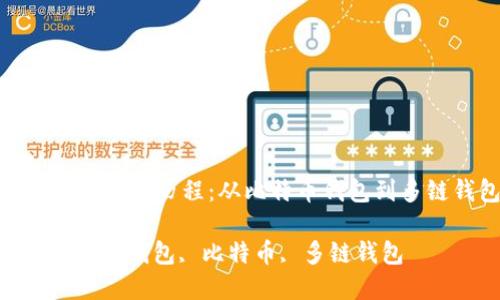 : 区块链钱包的发展历程：从比特币钱包到多链钱包的演变

关键词: 区块链, 钱包, 比特币, 多链钱包


