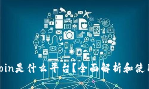 : 币coin是什么平台？全面解析和使用指南