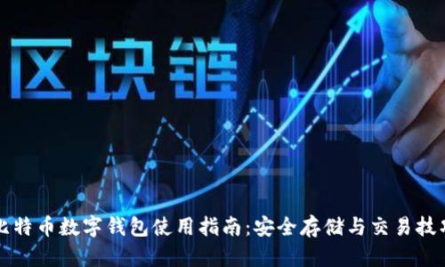 比特币数字钱包使用指南：安全存储与交易技巧