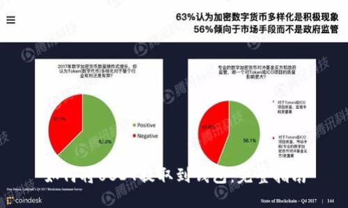 如何将USDT提取到钱包：完整指南