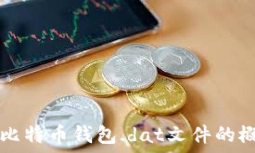   
全面解读比特币钱包.dat文件的概念与应用