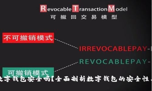 拍立数字钱包安全吗？全面剖析数字钱包的安全性与风险