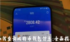 如何查询比特币钱包信息