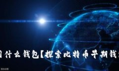 以前的比特币用什么钱包