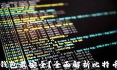 比特币存哪个钱包最安全