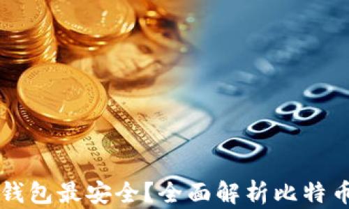 
比特币存哪个钱包最安全？全面解析比特币钱包选择指南