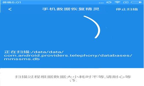 数字货币钱包的选择指南：如何找到最适合你的货币存储解决方案