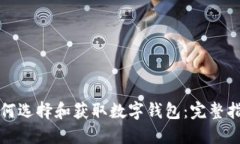 如何选择和获取数字钱包