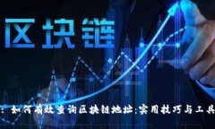 : 如何有效查询区块链地址
