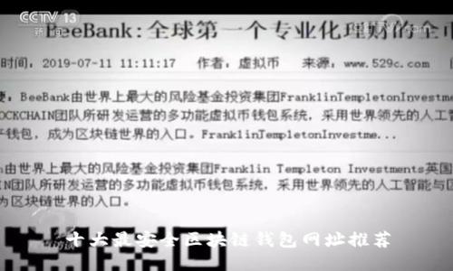十大最安全区块链钱包网址推荐