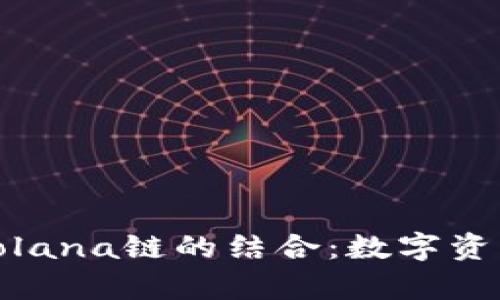 全面解析麦子钱包与Solana链的结合：数字资产存储与管理的新选择