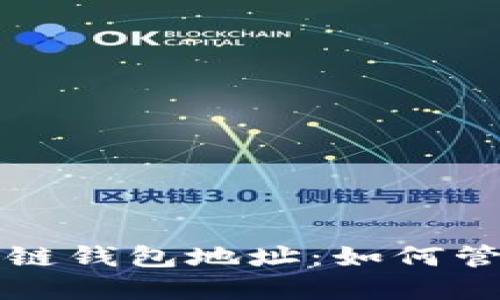 揭秘百万级用户的区块链钱包地址：如何管理和保护您的数字资产
