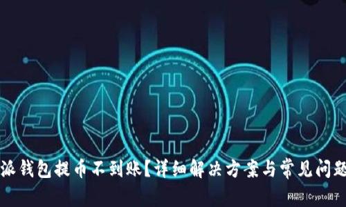 比特派钱包提币不到账？详细解决方案与常见问题解析