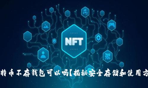 比特币不存钱包可以吗？揭秘安全存储和使用方式