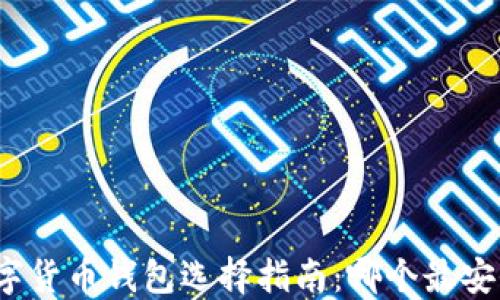 
数字货币钱包选择指南：哪个最安全？