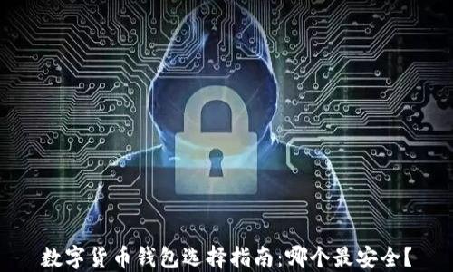 
数字货币钱包选择指南：哪个最安全？