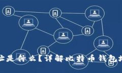 比特币钱包地址是什么？