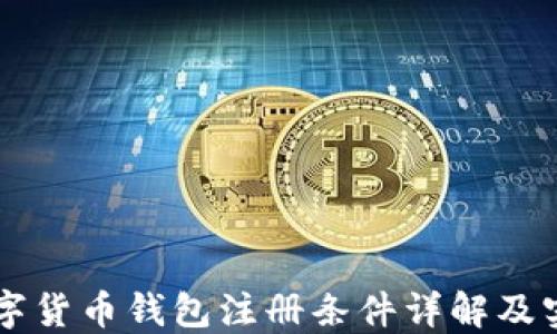 
中国数字货币钱包注册条件详解及实用指南
