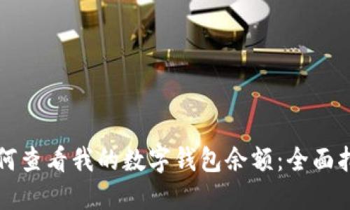 如何查看我的数字钱包余额：全面指南