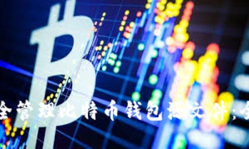 如何安全管理比特币钱包源文件：全面指南