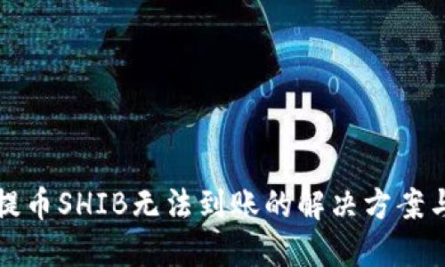 火币钱包提币SHIB无法到账的解决方案与操作指南