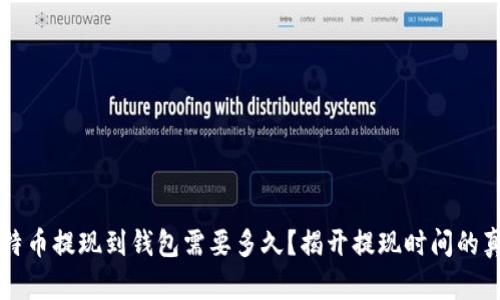 比特币提现到钱包需要多久？揭开提现时间的真相
