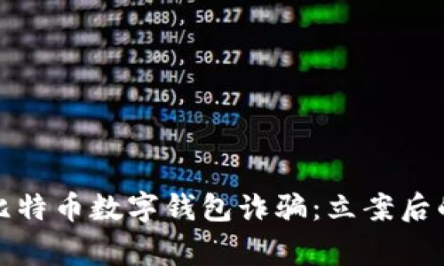 如何防范比特币数字钱包诈骗：立案后的注意事项