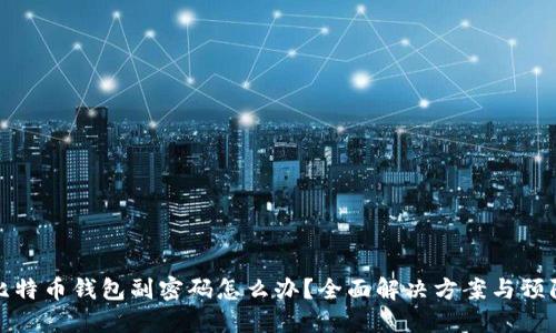 忘记比特币钱包副密码怎么办？全面解决方案与预防措施