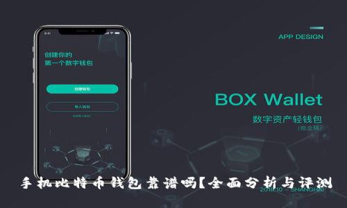 手机比特币钱包靠谱吗？全面分析与评测
