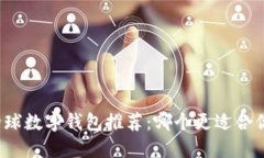 全球数字钱包推荐：哪个