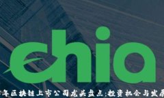 2023年区块链上市公司龙头