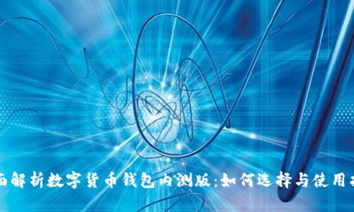 全面解析数字货币钱包内测版：如何选择与使用指南