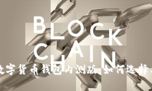 全面解析数字货币钱包内测版：如何选择与使用指南