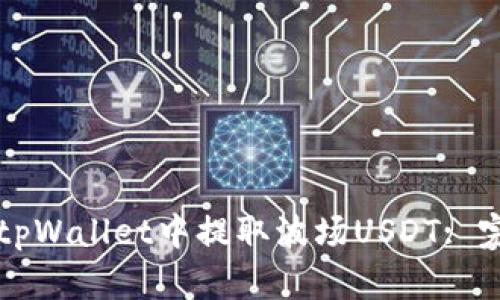 如何在tpWallet中提取波场USDT: 完整指南
