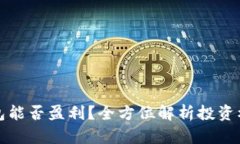 区块链钱包能否盈利？全