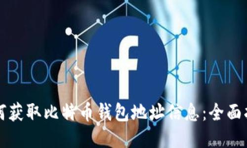 如何获取比特币钱包地址信息：全面指南