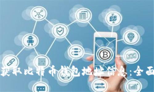如何获取比特币钱包地址信息：全面指南