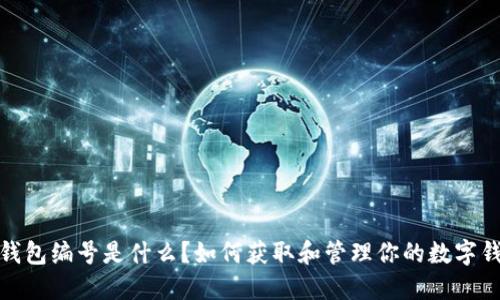 数字币钱包编号是什么？如何获取和管理你的数字钱包编号
