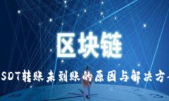 USDT转账未到账的原因与解