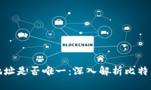 比特币钱包地址是否唯一：深入解析比特币地址的特性