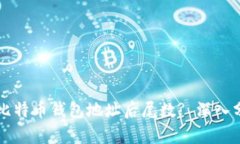 如何解读比特币钱包地址