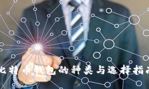 比特币钱包的种类与选择指南