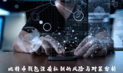 比特币钱包没有私钥的风